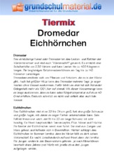 Dromedar - Eichhörnchen.pdf
